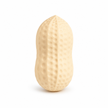 Peanut Squishy